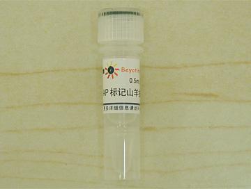 碱性磷酸酯酶标记山羊抗小鼠IgG(H+L)